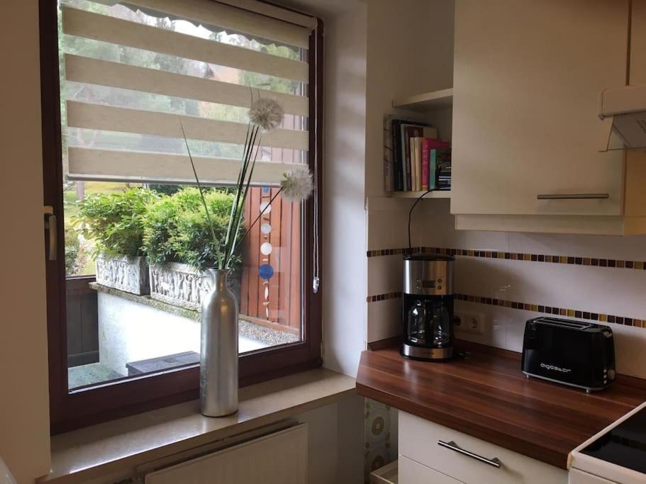Wohnung Direkt Am Tegernsee Mit Xl-Terrasse Gmund am Tegernsee Esterno foto